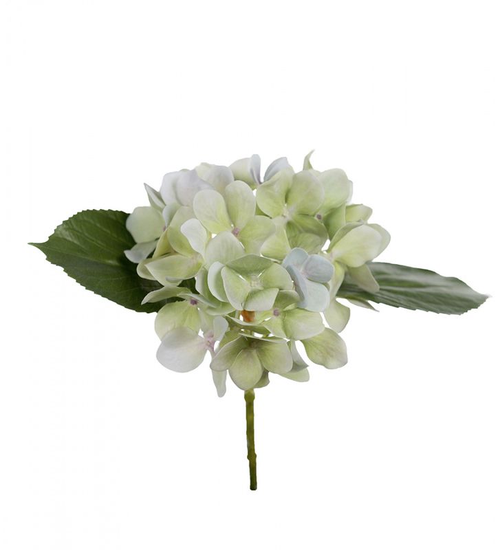Mr.Plant - Hortensia 25cm kustig